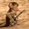 -mono-rokero-